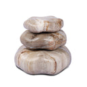 Artistic Petrified Wood Organic Sculpture Set Of 3 - Light Petrified Wood