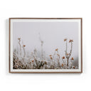 Aether In The Details II by Annie Spratt - 48X36