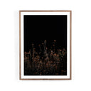 Inspiring Escape I by Annie Spratt - 40X60