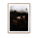 Escape II by Annie Spratt - 40X60