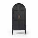 Aveline Tolle Panel Door Cabinet - Drifted Matte Black