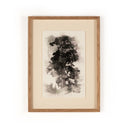 Aurelian Tree Sketch I by Coup Desprit - 40X60