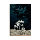 Luxe Artistry Theres A Lack Of Color Here by Getty Images - 48X72