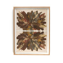 Aurelia Rorschach Earth by Orfeo Quagliata - 40X30