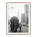 Aria Circus Animals On 33Rd St by Getty Images - 24X32 Rustic Walnut