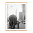 Aria Circus Animals On 33Rd St by Getty Images - 36X48 White Oak
