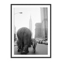 Aria Circus Animals On 33Rd St by Getty Images - 24X32 Black Maple