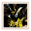 Verano Baja Polaroid No 1 by Ella Virginia West - 24X24 White Oak