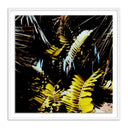 Verano Baja Polaroid No 1 by Ella Virginia West - 40X40 White Maple