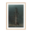 Veritas Winds I by Mandy Steinback - 175X24 White Oak