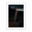 Desert Bloom Ocotillo II by Mandy Steinback - 285X40 White Maple Framed Paper