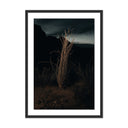 Desert Bloom Ocotillo II by Mandy Steinback - 175X24 Black Maple Framed Paper