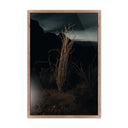 Desert Bloom Ocotillo II by Mandy Steinback - 1625X24 Rustic Walnut Framed Metal