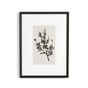 Aurelia Sprig I by Coup Desprit - 30X40