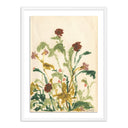 Verity by Shaina Page - Meadow Rue 2 - 30X40 White Maple Framed Paper
