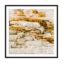 Aurelia Mammoth by Wesley and Emma Teague - 24X24 Black Maple