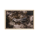 Aetheria Bough by Shade Degges - 60X40