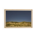 Aurelia Before The Coastline by Shade Degges - 48X36