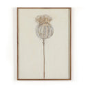 Aetherial Poppy Crema by Paul Meyer - 24X32