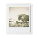 Elysian 290 by Darden Smith - 40X48 White Maple