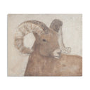 Veridien Crius by Paul Meyer - 24X20