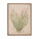 Aesthetica Ocotillo by Paul Meyer - 18X24