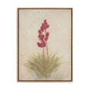 Aurelia Yucca by Paul Meyer - 18X24