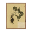 Petite Muse Petite Study No VII by Hannah Winters - 18X24