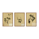 Aurelian Petite Study Triptych by Hannah Winters - 435X18