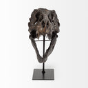 Jurassic 6L x 10W Brown Resin Tyrannosaurus Skull Replica - Default Title