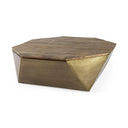 Esagono Octagonal Gold Metal-Clad Reclaimed Wood Coffee Table w Storage - Default Title