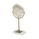Sandy II Medium 6L x 3W White Coastal Sand Dollar Object - Default Title