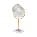 Sandy I Small 6L x 3W White Coastal Sand Dollar Object - Default Title