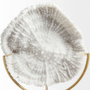 Sandy I Small 6L x 3W White Coastal Sand Dollar Object - Default Title