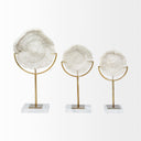 Sandy I Small 6L x 3W White Coastal Sand Dollar Object - Default Title