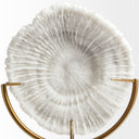Sandy II Medium 6L x 3W White Coastal Sand Dollar Object - Default Title