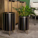 Pianta 13 x 21 Set of Two Black Metal Insert Brass Frame Plant Stands - Default Title