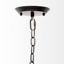 Decamp I 472x362 Black Metal Chassis Glass Tube Twelve Light Chandelier - Default Title