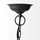 Camila 40x31 Black Metal Mesh-Style Four Bulb Chandelier - Default Title