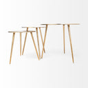 Reva III Small 16L x 16W Gold Round Top Cast Aluminum Accent Table - Default Title