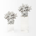 Isla Large 5L x 5W White Replica Resin Coral On Clear White Glass - Default Title