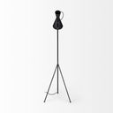 Eris III 583H BlackBrass Metal Cone Shade Floor Lamp - Default Title