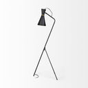 Eris III 583H BlackBrass Metal Cone Shade Floor Lamp - Default Title