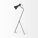 Eris III 583H BlackBrass Metal Cone Shade Floor Lamp - Default Title