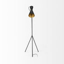 Eris III 583H BlackBrass Metal Cone Shade Floor Lamp - Default Title