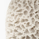 Mariam 26H Cream Coral-Inspired Base Table Lamp - Default Title