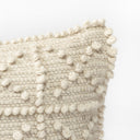 Leroy 18 x 18 Cream Raised Pattern Detail Decorative Pillow Cover - Default Title