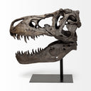Lagrane 19L x 11W Brown Resin Tyrannosaurus T Rex Dinosaur Skull Replica - Default Title
