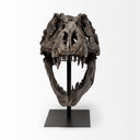 Lagrane 19L x 11W Brown Resin Tyrannosaurus T Rex Dinosaur Skull Replica - Default Title