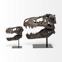 Jurassic 6L x 10W Brown Resin Tyrannosaurus Skull Replica - Default Title